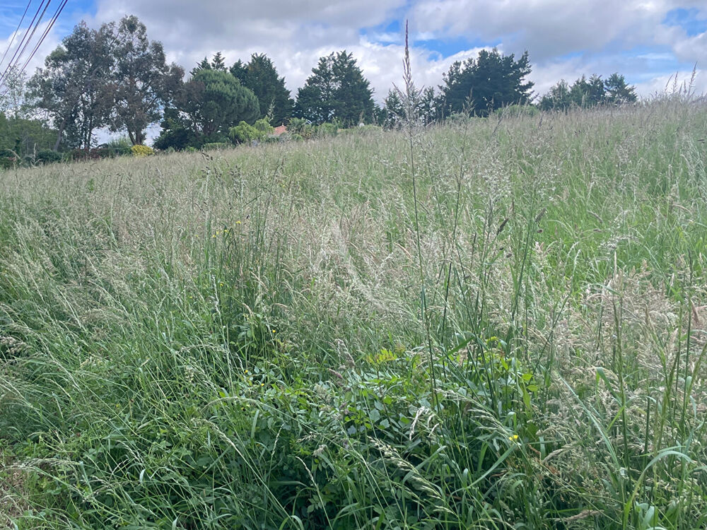 Vente Terrain Terrain à bâtir 397 m² Moutiers-les-Mauxfaits Moutiers les mauxfaits