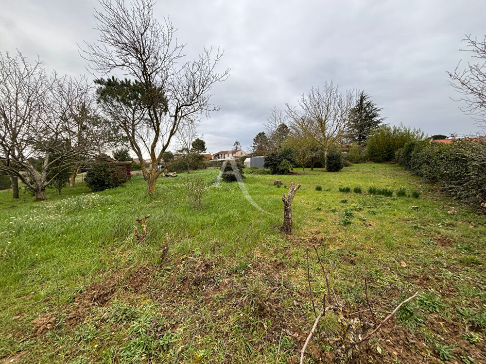 Vente Terrain Terrain constructible à PALAJA Palaja