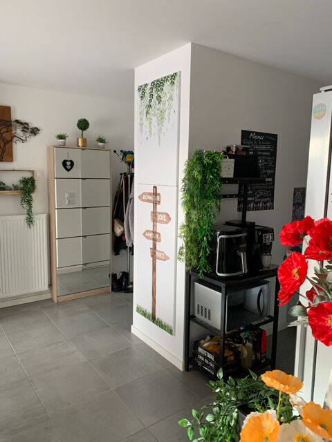  Appartement � louer 3 pi�ces 56 m�