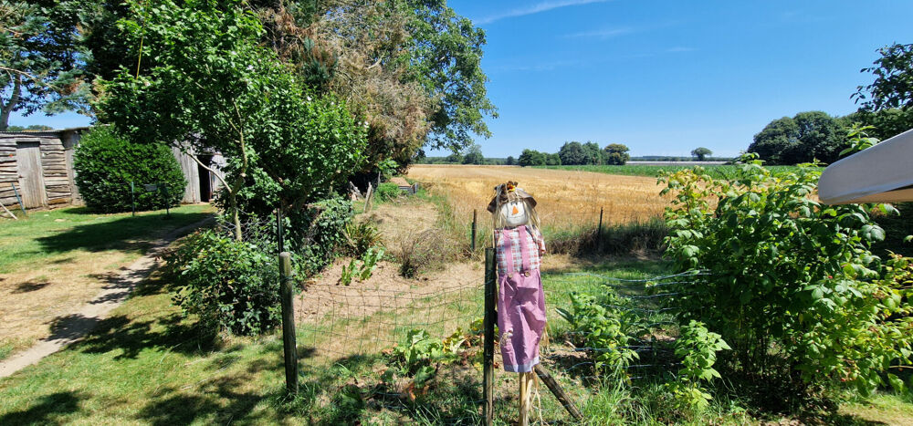 CÔTES D'ARMOR Spacieuse maison de 6 pieces, belle jardin / terrain 8000m2, à proximité d'une ville active