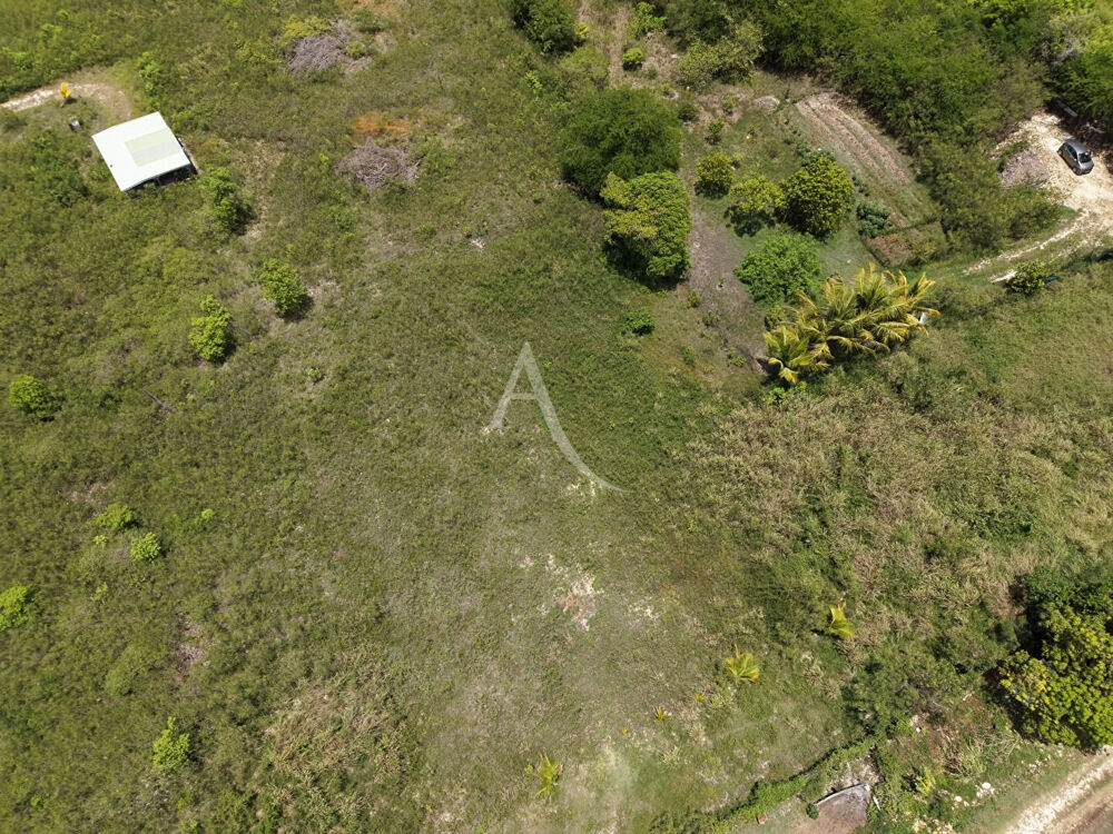 Vente Terrain 779 m² - Vue 5