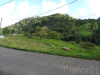  Terrain  vendre 1380 m