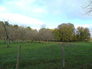  Terrain  vendre 3972 m