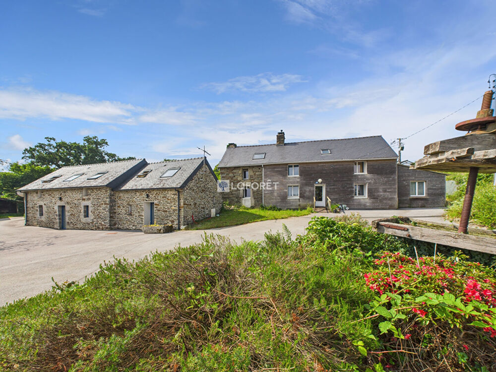 Maison Plonevez Du Faou 12 pièce(s) 342 m2