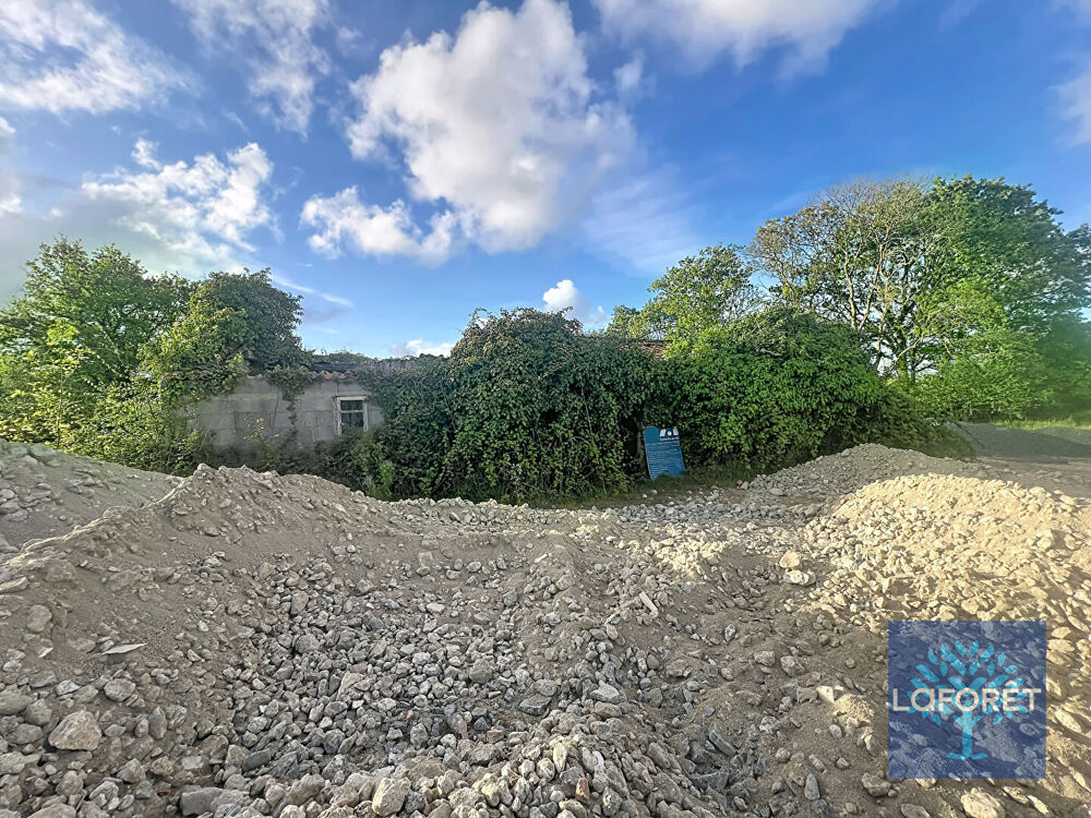 Vente Maison SALLERTAIINE !DEPENDANCE EN PIERRE SUR 2500 METRES CARRES AVEC POSSIBILITE DE 1 HECTARE SUPLEMENTAIR Sallertaine