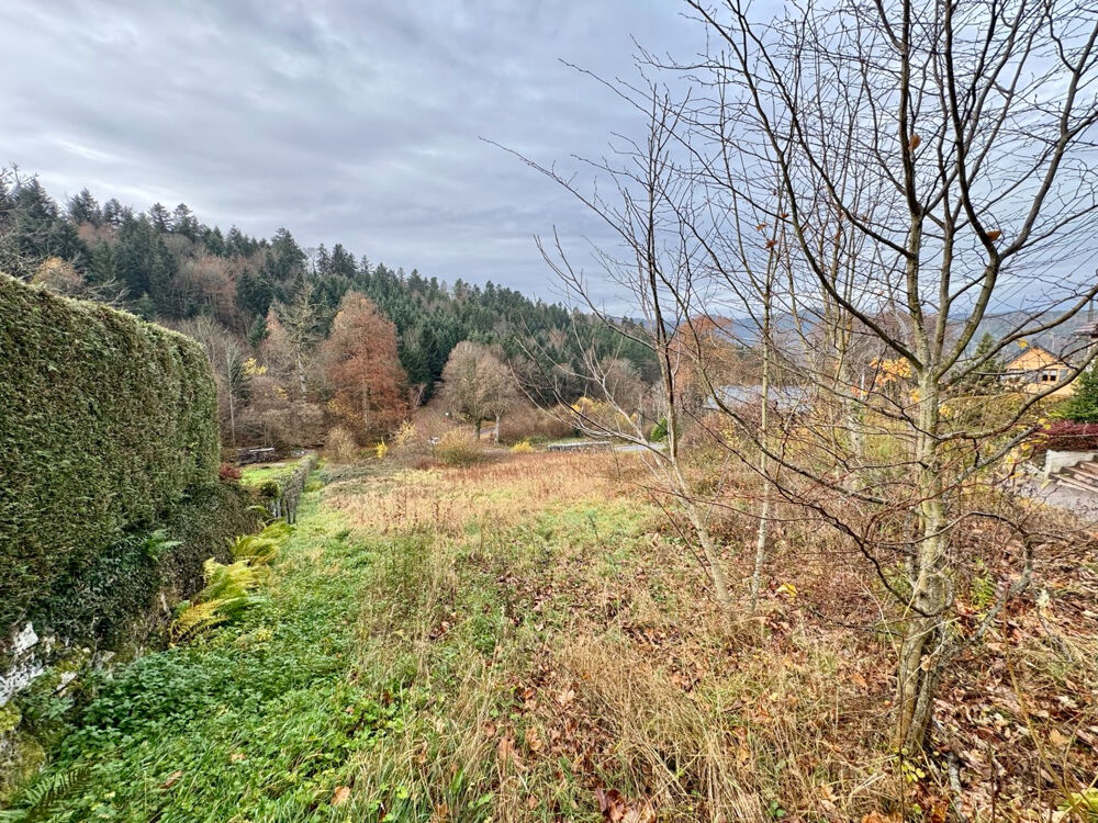 Vente Terrain Solbach - terrain de 21,36 ares Solbach