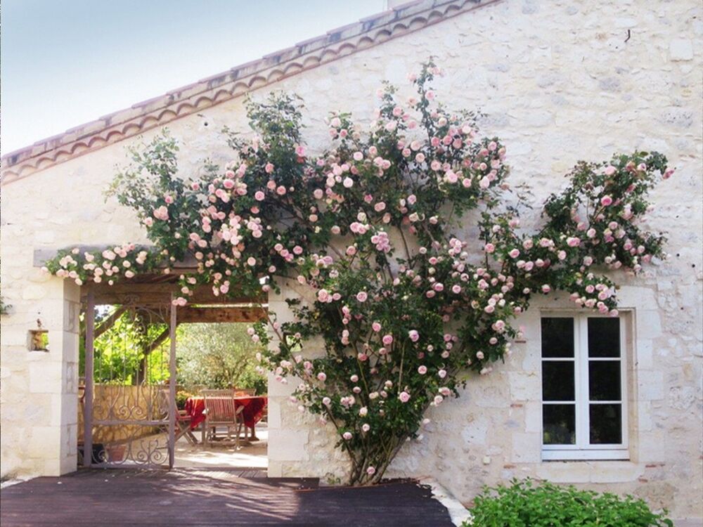 Vente Maison Superbe propriété de campagne dans un emplacement idéal. Saint mezard