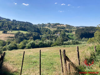  Terrain à vendre 10050 m²