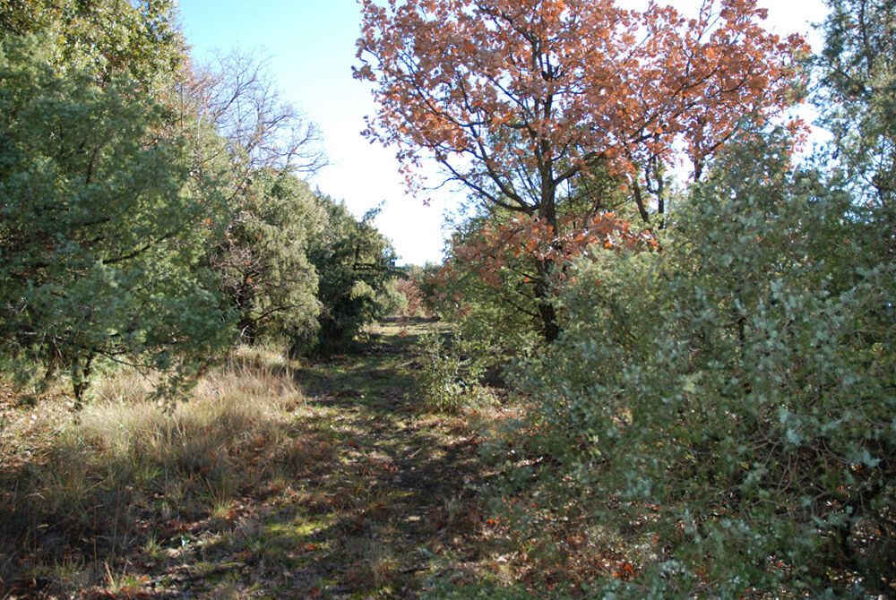 Vente Terrain A VENDRE EN EXCLUSIVITE ! Beau terrain plat  de 1457m² à BEAUDINARD SUR VERDON Baudinard sur verdon