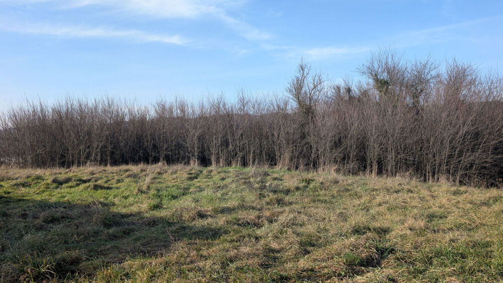 Vente Terrain Terrain Montmiral 752 m2 Constructible + 88 m² agricole Montmiral