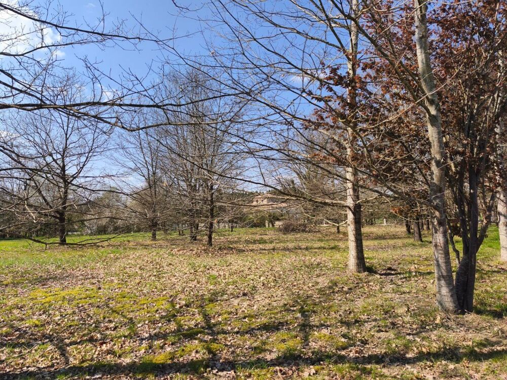 Vente Terrain TERRAIN A BATIR NEGREPELISSE Negrepelisse
