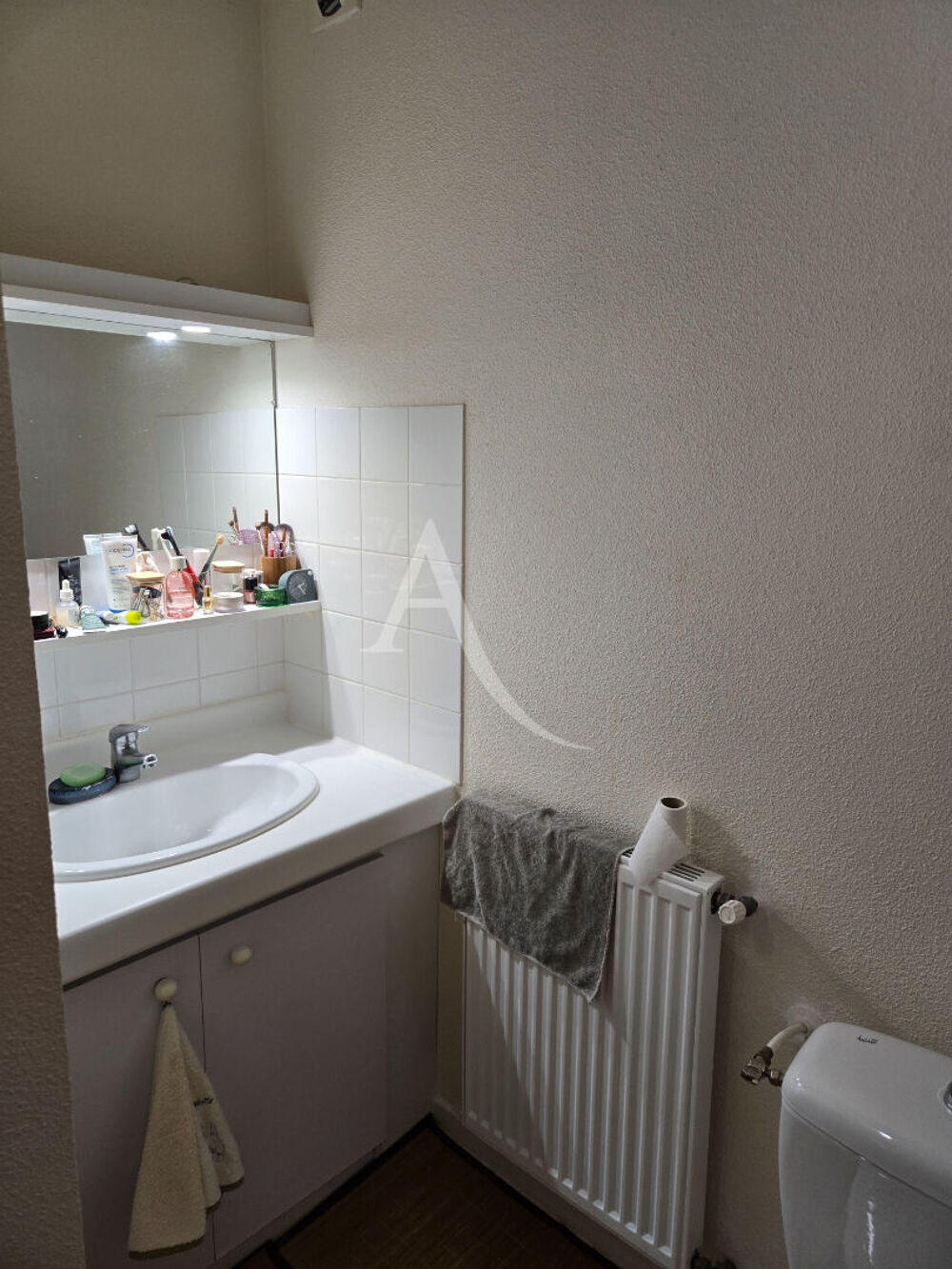 Location Appartement Appartement sur Albi 2 pièces de 70m² Albi