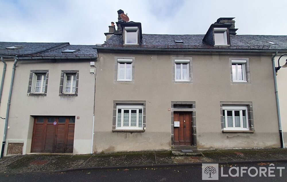 Vente Maison Ensemble immobilier composé de deux maisons mitoyennes Pierrefort Pierrefort