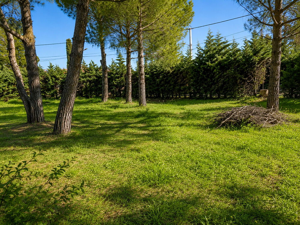 Vente Terrain Terrain de 600 m² avec vue sur le Canigou Montesquieu des alberes
