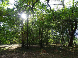  Terrain à vendre 5000 m²