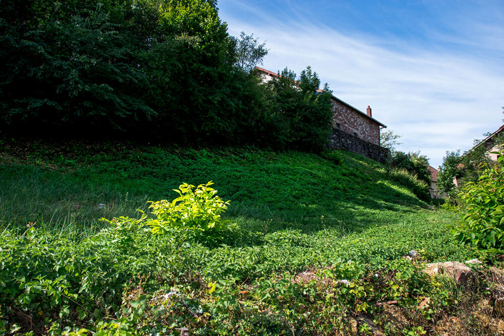 Grange à rénover avec terrain