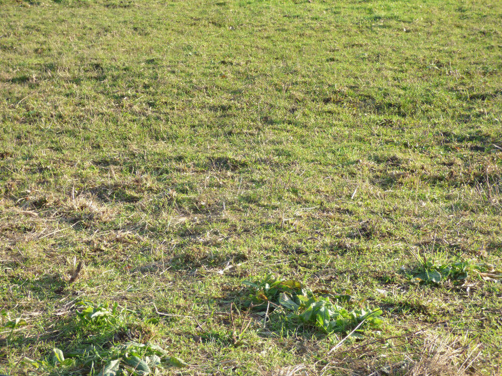 Vente Terrain Terrain Saint Hilaire De Riez quartier du terre-fort 498 m2 Saint hilaire de riez
