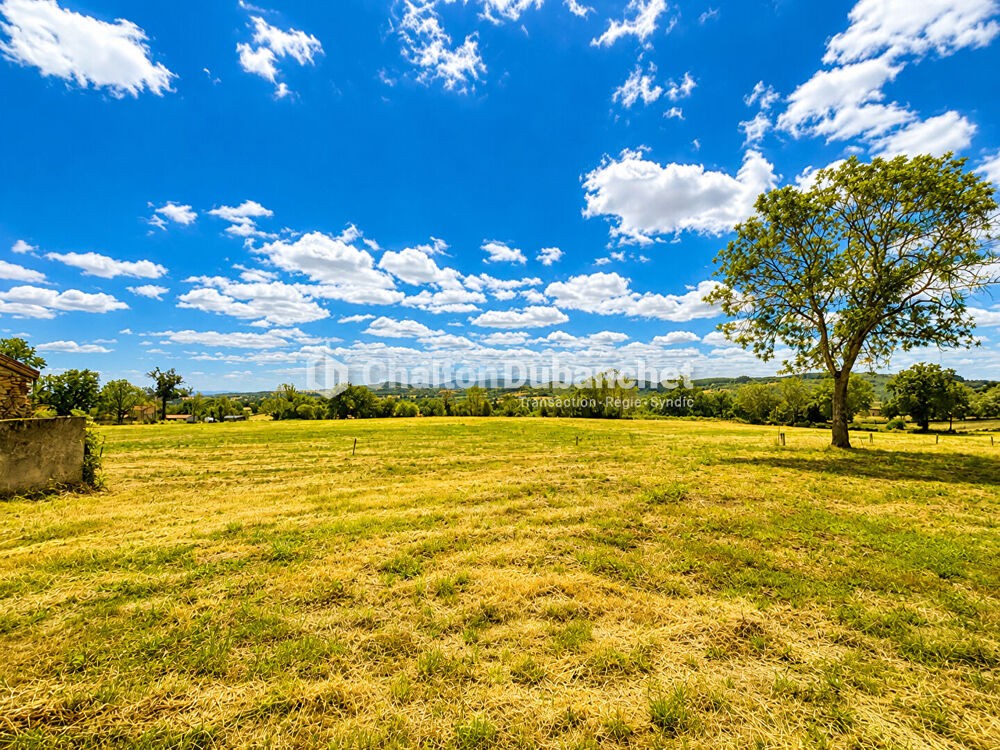 Vente Terrain Terrain de 4576 m²  avec deux bâtiments en ruine à MONTAIGUET EN FOREZ Montaiguet en forez
