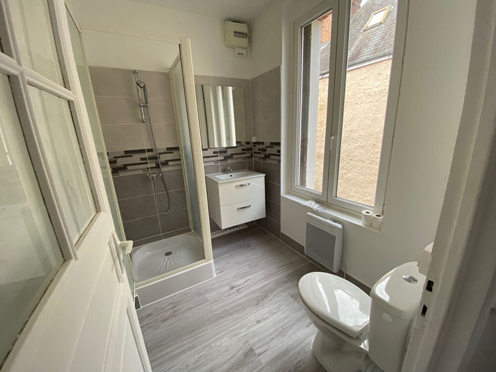 Location Appartement NON MEUBLE - APPARTEMENT  - 19m² - QUARTIER SAINT NICOLAS Blois