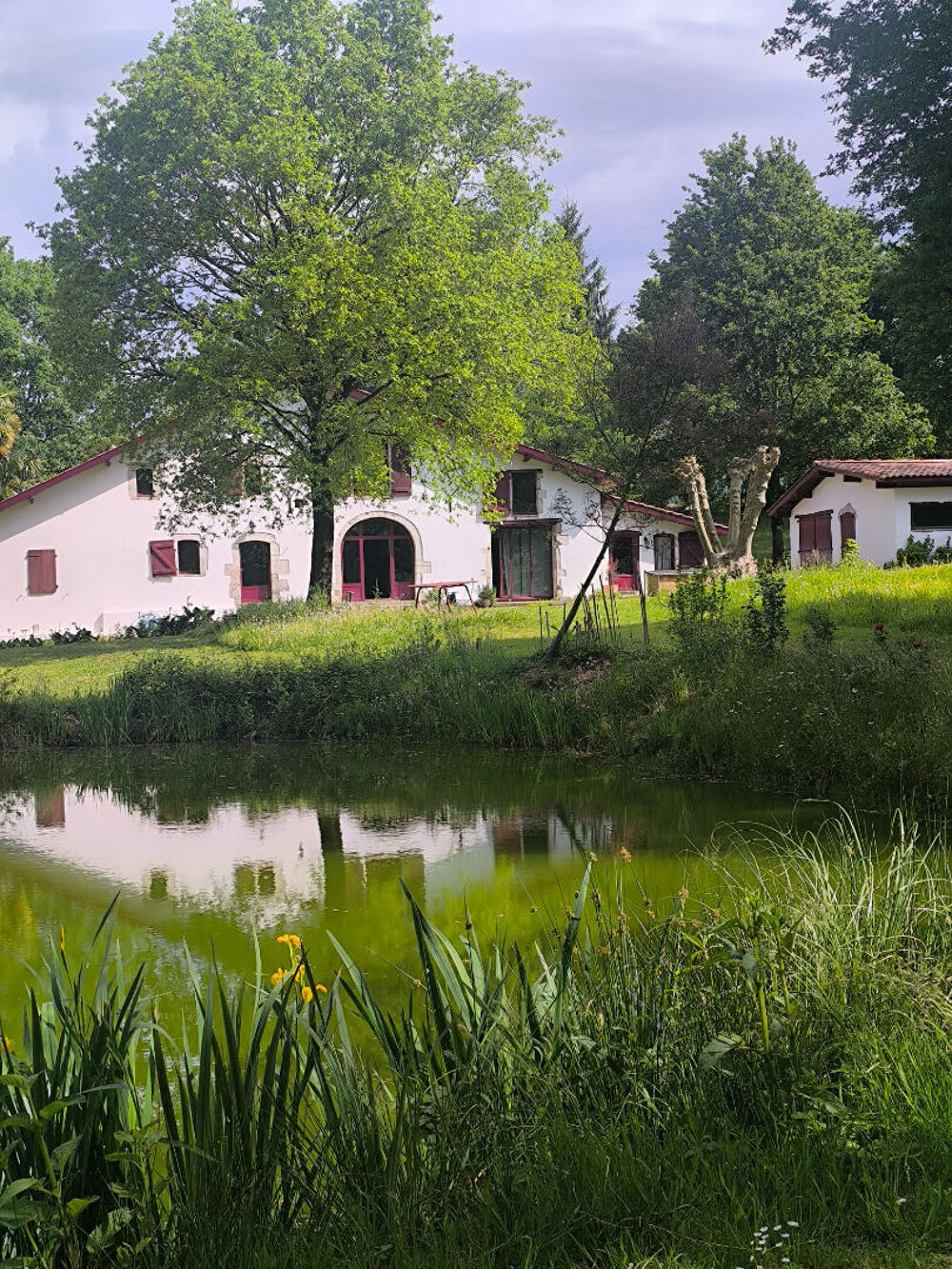 à vendre  Maison Sames (64520)