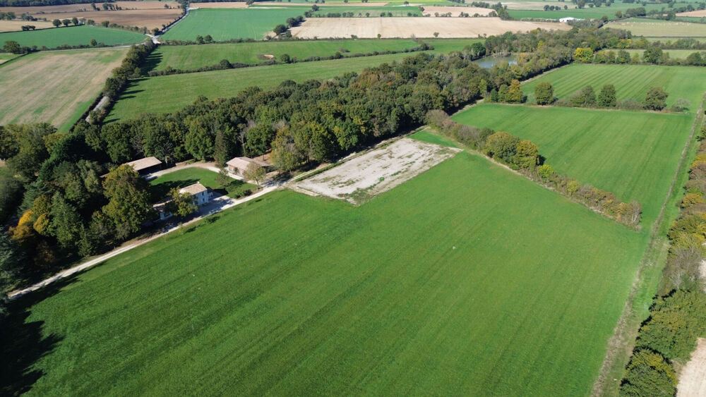 BOIVRE LA VALLÉE - DOMAINE DE 24,8 HA - MAISON - HANGARS - BOIS - ÉTANG - TERRES AGRICOLES