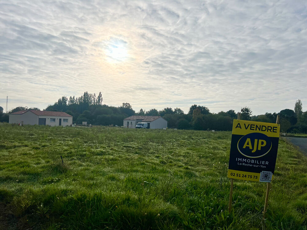 Vente Terrain Terrain La Ribotière / Le Beignon Basset Le poire sur vie