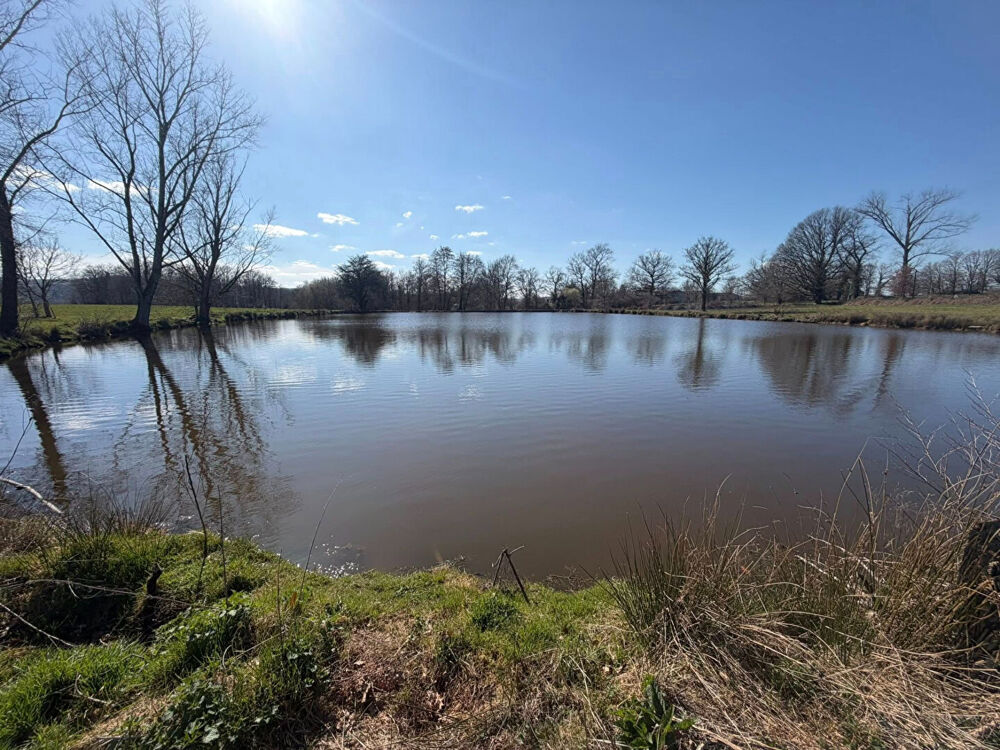 Vente Terrain HAUTE VIENNE - Etang Bessines Sur Gartempe Bessines sur gartempe