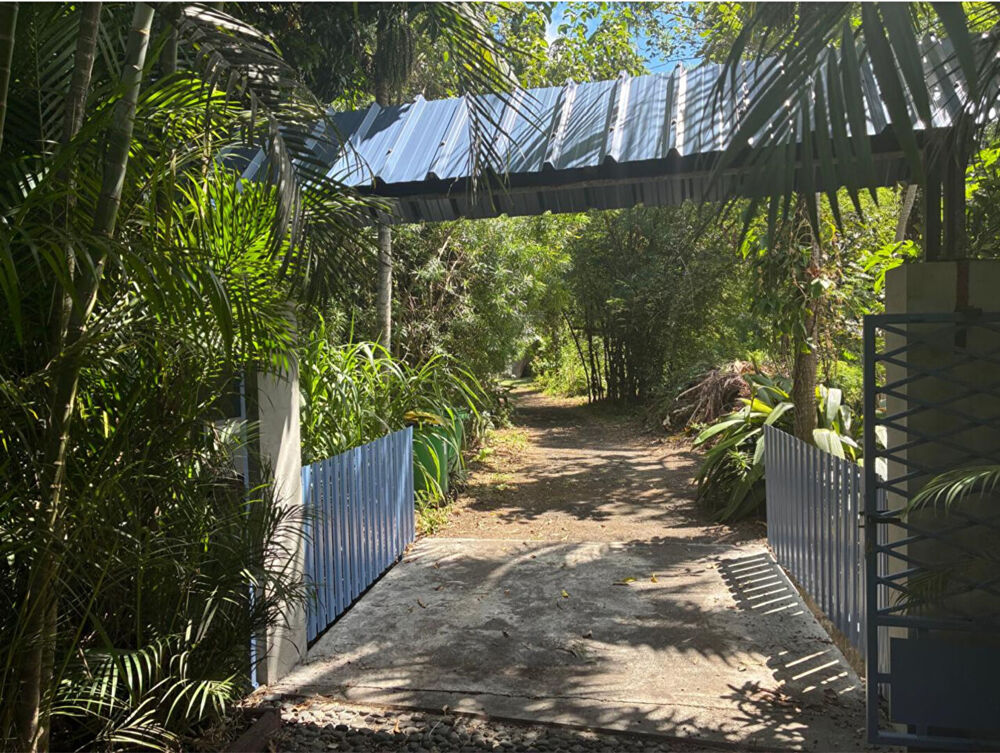 � vendre  Maison Saint-Pierre (97410)