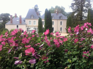  Villa � vendre 15 + pi�ces 750 m�