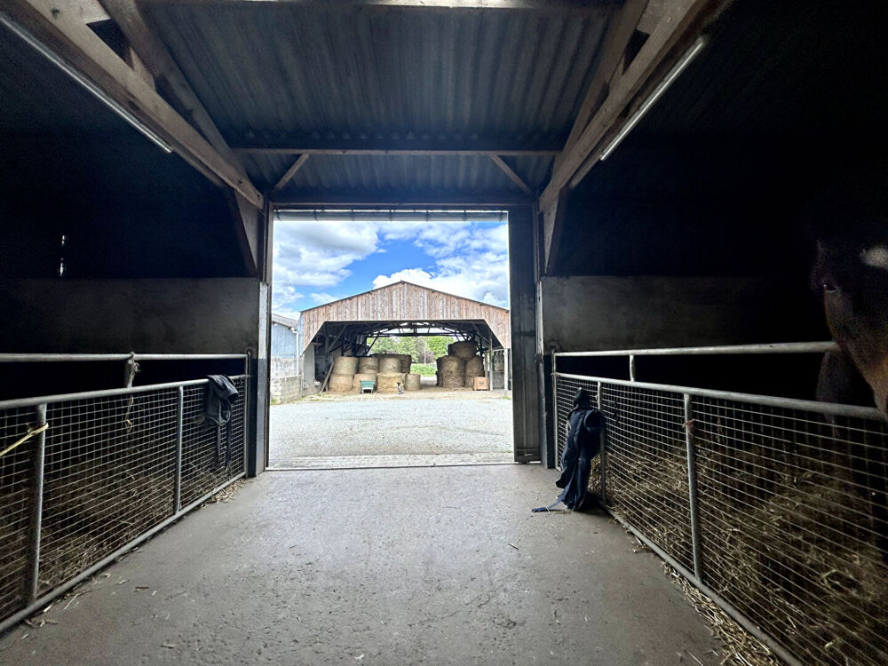 Écurie de course sur 15 ha