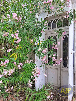  Maison à vendre 13 pièces 381 m²