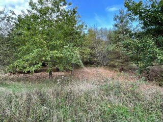  Terrain � vendre 2029 m�