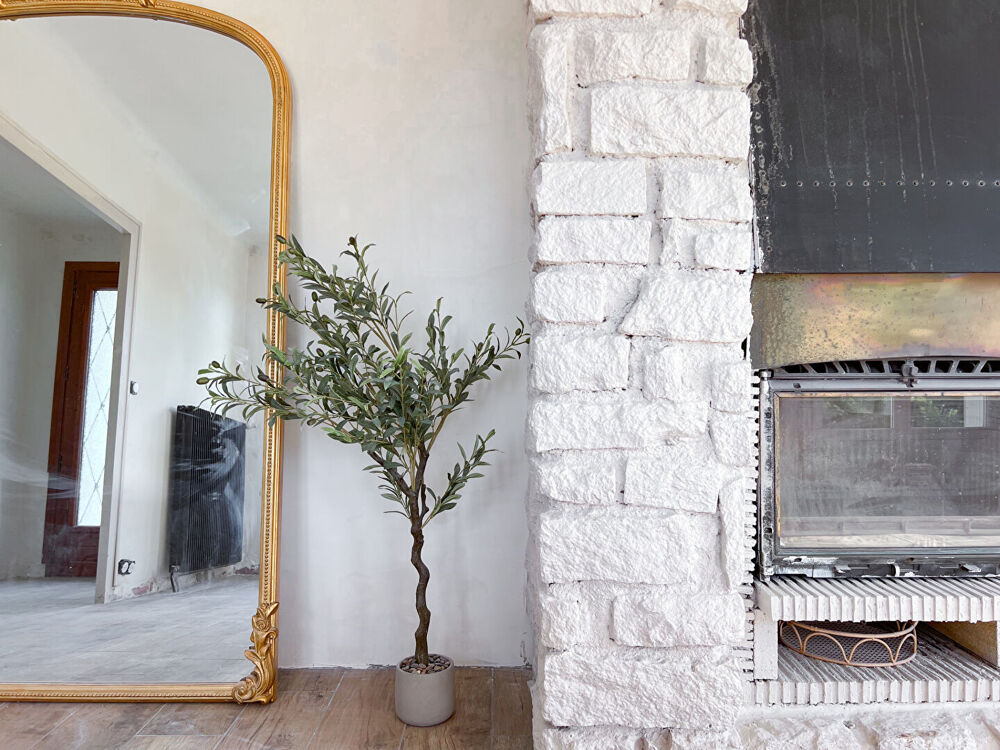 Vente Maison Maison 6 pièces à vendre à Brain sur l'Authion, Loire Authion avec jardin Brain sur l authion