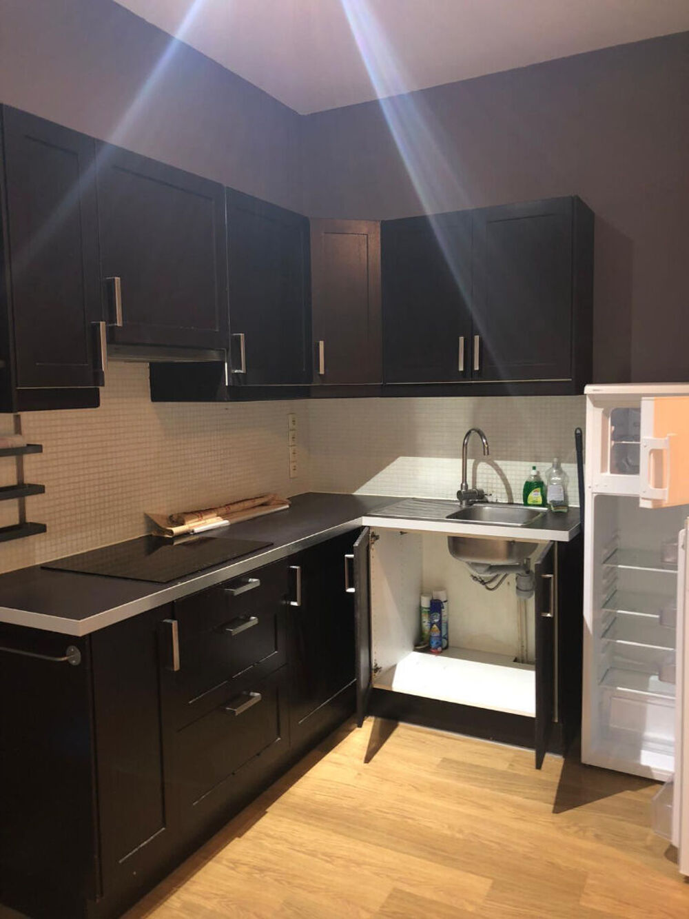 Location Appartement Appartement Issy Les Moulineaux 2 pièce(s) 29.01 m2 Issy les moulineaux