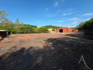  Terrain à vendre 11600 m²