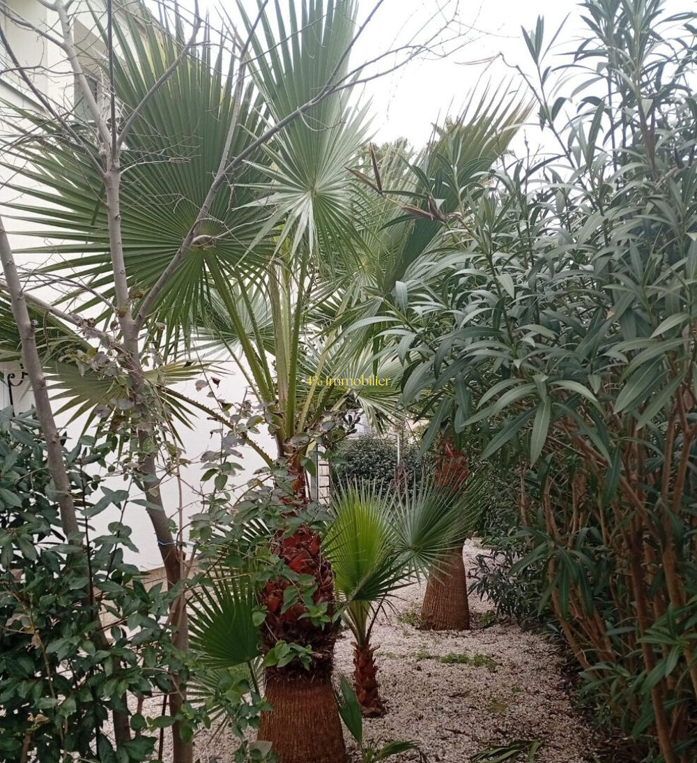 Maison 6 pièces 145 m² · à Agde · 145 m² · 364 000 €