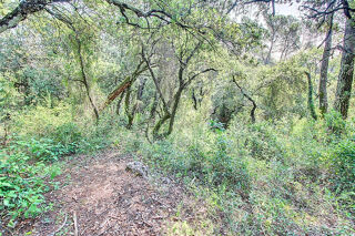  Terrain � vendre 