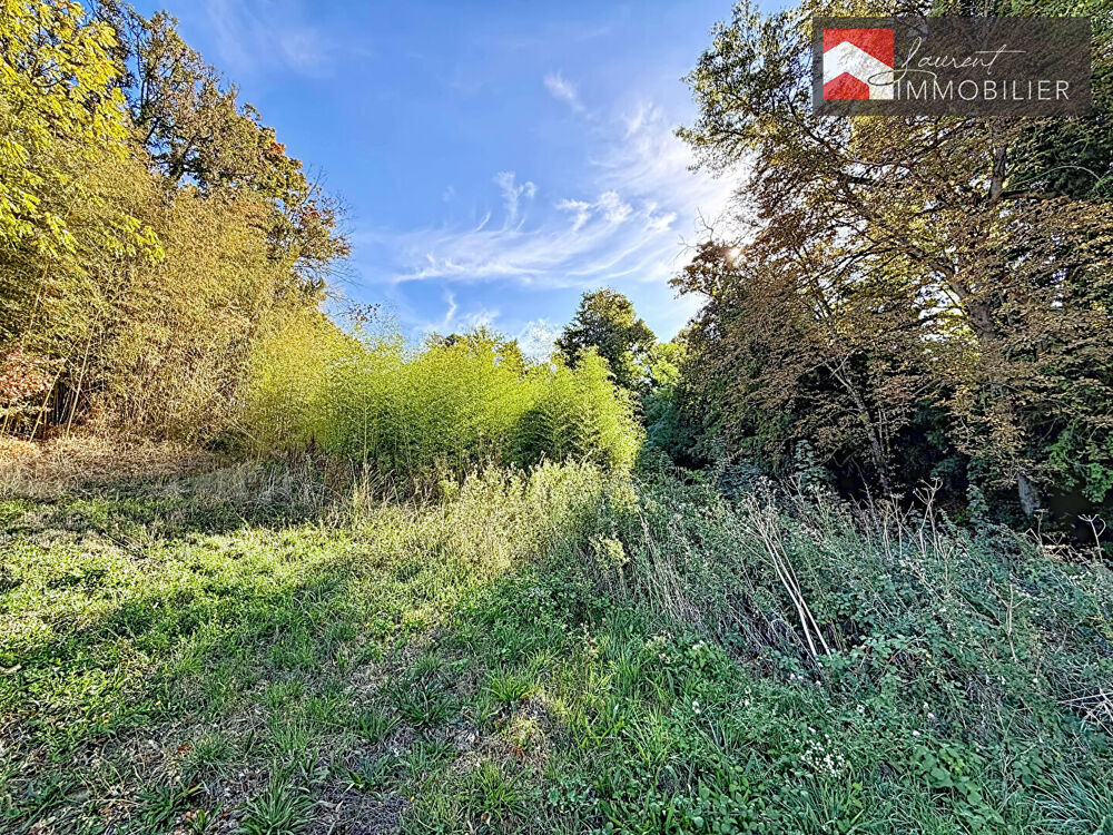 Vente Terrain Opportunité Foncière ? Terrain à Bâtir avec Permis Purgé Pont de vaux