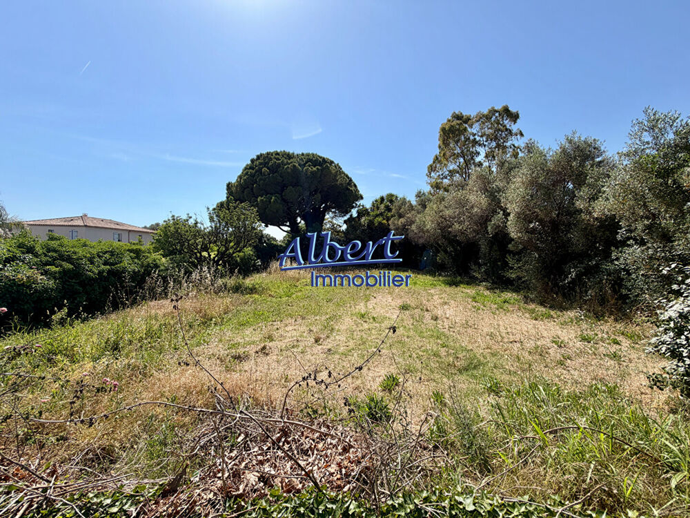 Vente Terrain Terrain Ollioules Ollioules