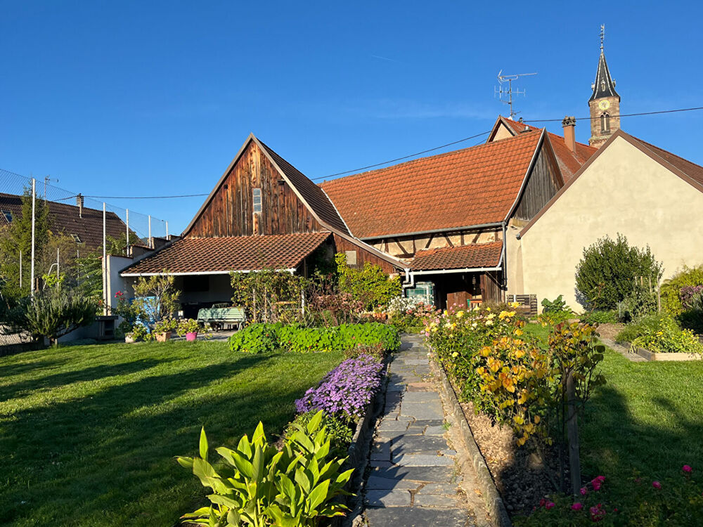 Vente Maison Eichhoffen - Corps de ferme 9 pi�ces - 227,65 m2 Eichhoffen