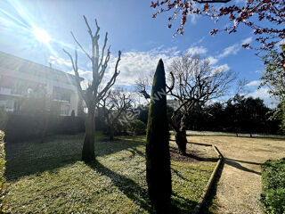  Appartement � louer 2 pi�ces 37 m�