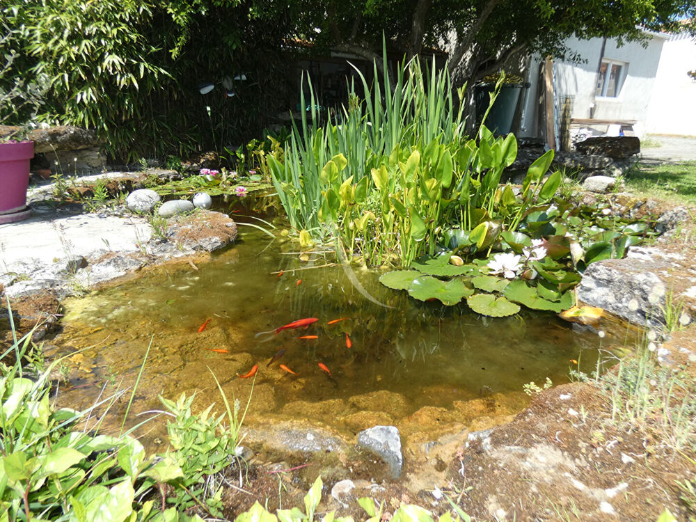  vendre  Maison L'pine (85740)