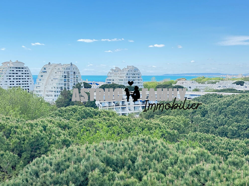La Grande Motte - Quartier du COUCHANT - T2 + COIN BUREAU - VUE MER & ÉTANG DE L'OR