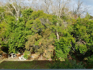  Appartement � vendre 2 pi�ces 37 m�