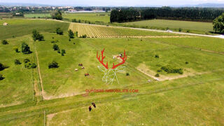  Maison � vendre 15 + pi�ces 360 m�