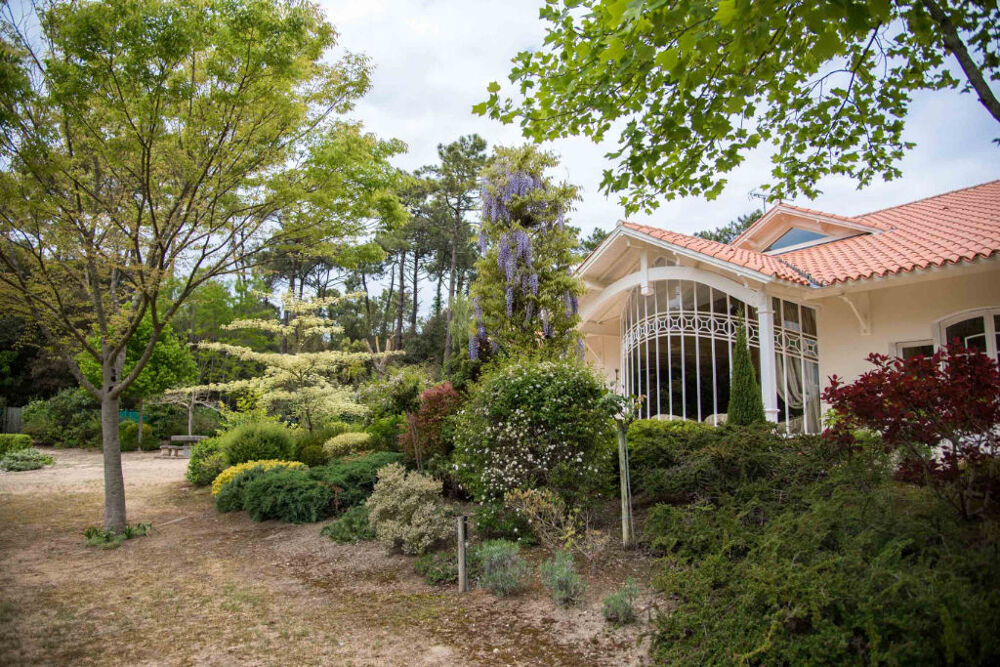  vendre  Maison Notre-Dame-de-Monts (85690)