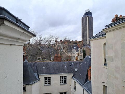  Appartement � louer 1 pi�ce 21 m�