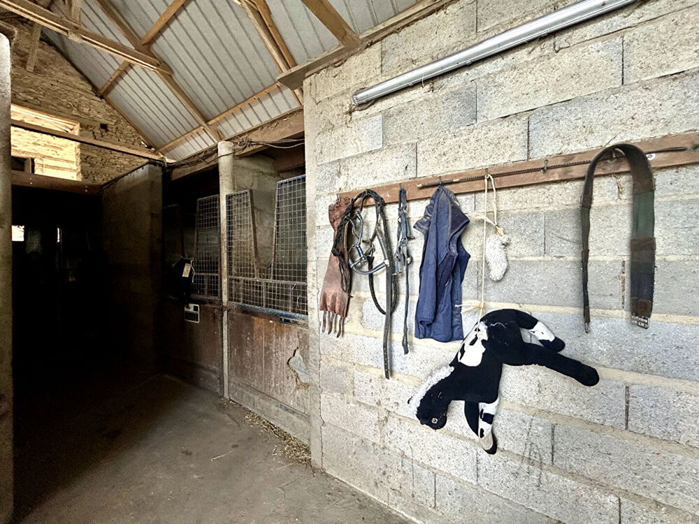Vente Villa Écurie de course sur 15 ha Chateau gontier sur mayenne