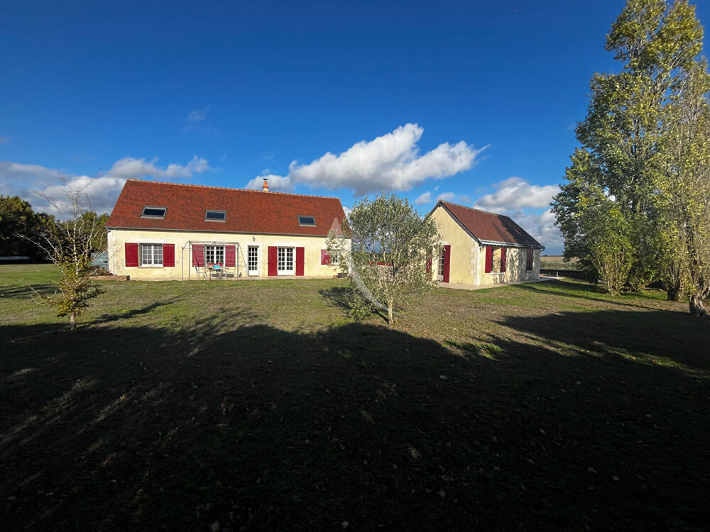 Vente Maison Maison Blere