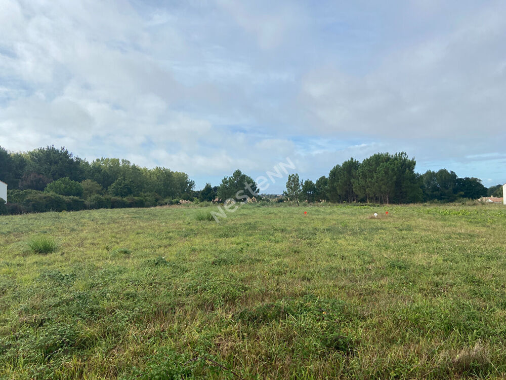 Vente Terrain Terrain Saint Hilaire De Riez 2797 m2 Saint hilaire de riez
